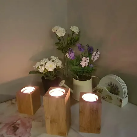 Lovely Near Sea Garden 바르나